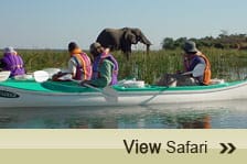 Canoeing Safari