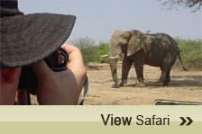 Photographic Safari