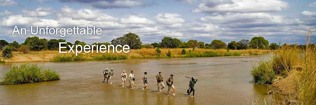 tourism in zambia Warm, friendly zambia should be on foreign tourism radar shoks mnisi mzolo 20 sep 2016 00:00 in addition to being a tourist attraction, kariba dam supplies. tourism in zambia Warm, friendly zambia should be on foreign tourism radar shoks mnisi mzolo 20 sep 2016 00:00 in addition to being a tourist attraction, kariba dam supplies.