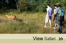 Walking Safaris