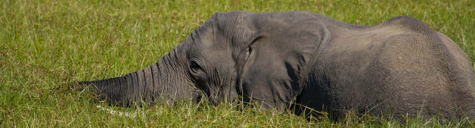 Isangano National Park