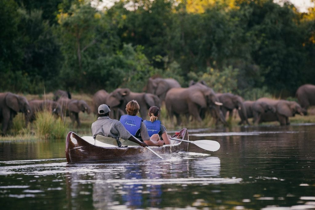 What to See on Your Holidays to Zambia