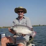 Large Tigerfish