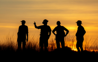 A Guided Private Safari Experience