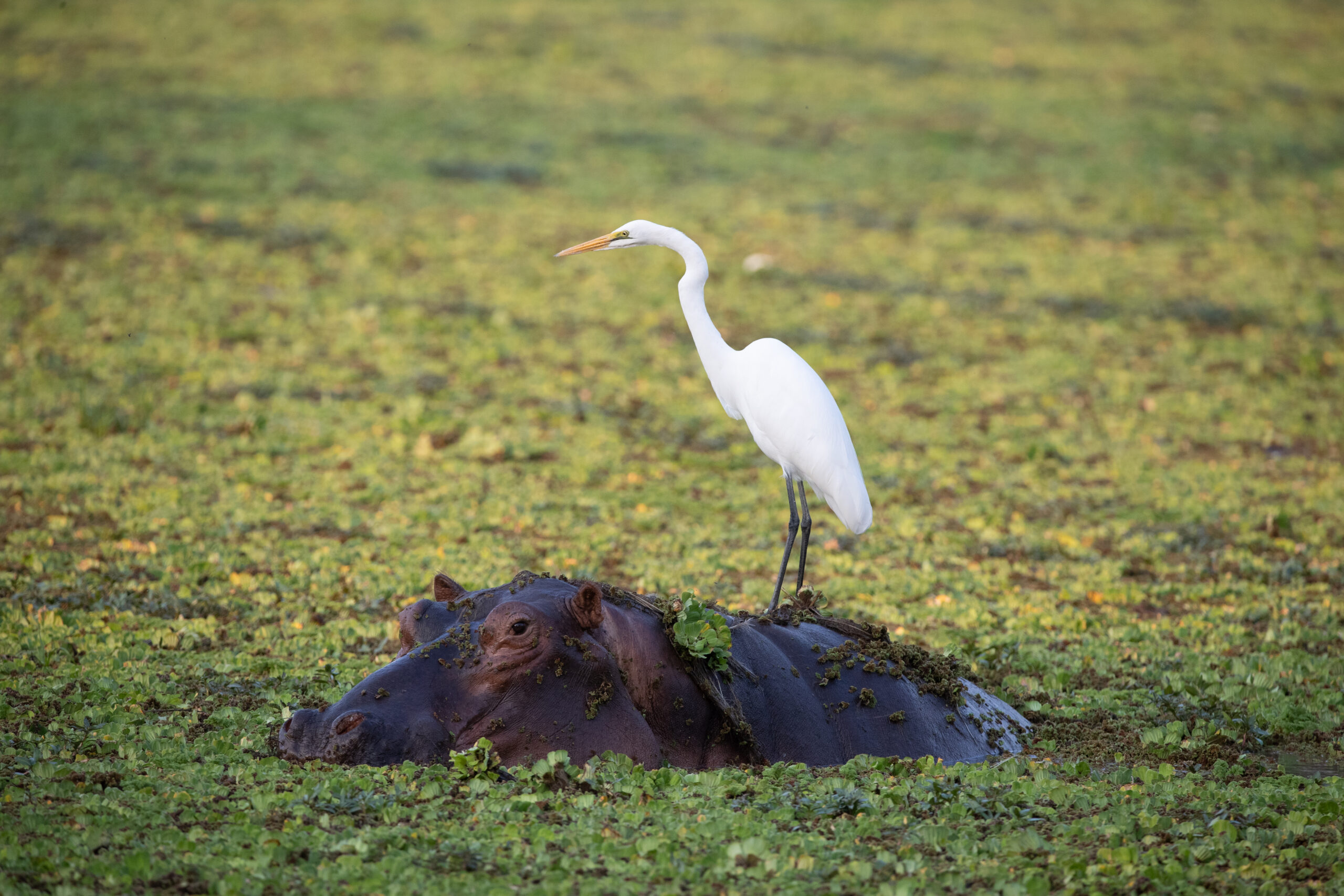 symbiotic tourism product examples