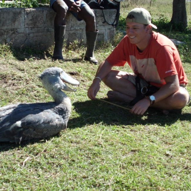 Posing with Shoebill chick Kapotwe at the Chikuni Research Station in the vast Bangweulu Wetlands. Kapotwe had been confiscated from illegal traders and has since been released back into the wild, despite his obvious lack of fear of humans!