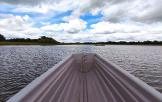 Chaminuka Nature Reserve - A Welcomed Respite From A Bustling City