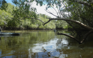 Exploring Kasanka National Park