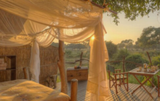 Featured Lodge - Flatdogs Camp, South Luangwa National Park