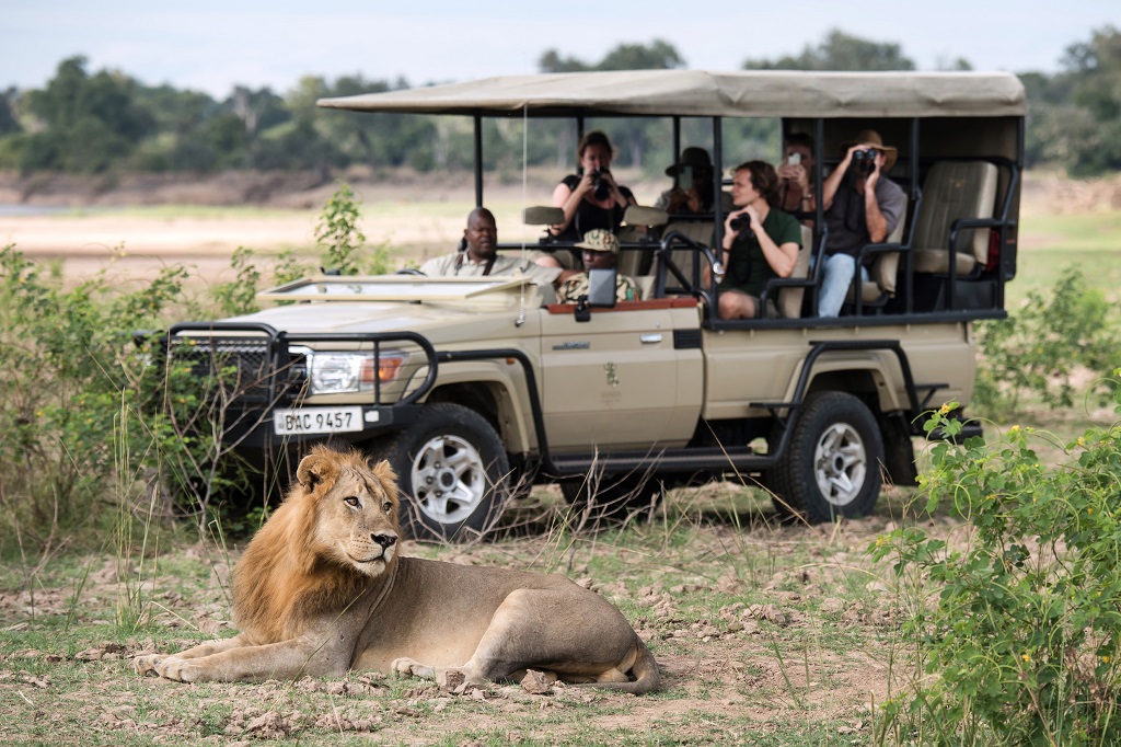 zambian resident safaris