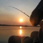 Tiger fishing on the Zambezi