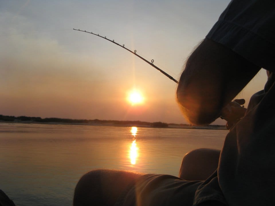 Tiger fishing on the Zambezi