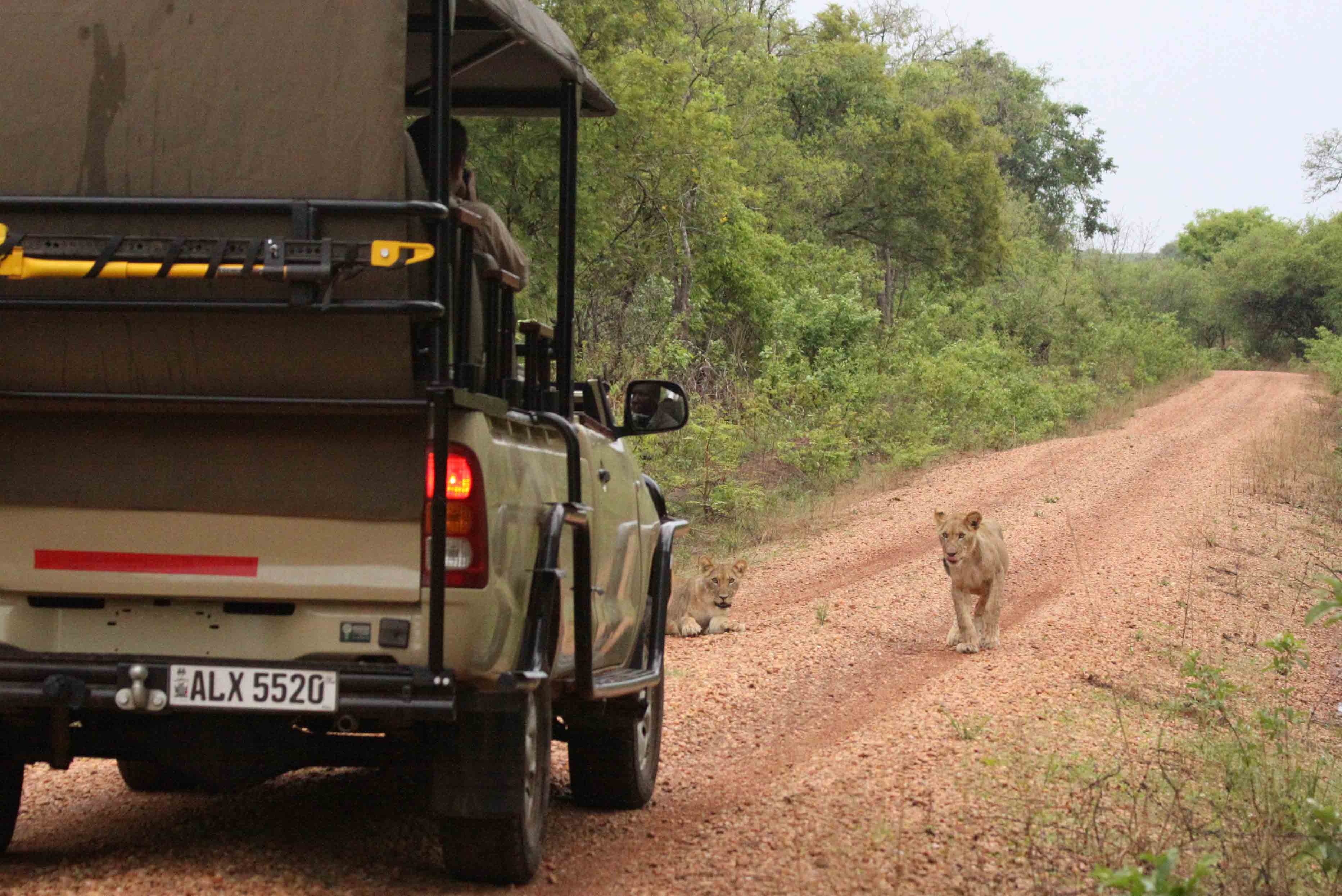 Why the Kafue? Zambia Tourism