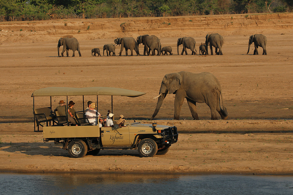 safaris en zambia