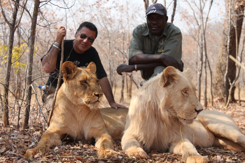 Wildlife Conservation Activities For Kids Wildlife Conservation Activities For Kids