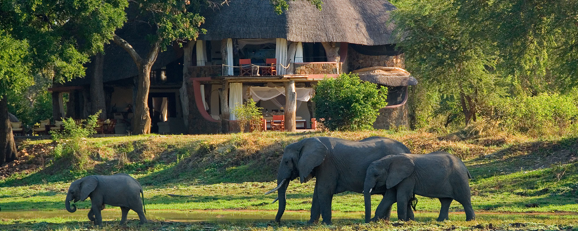 Luangwa-Safari-House_header