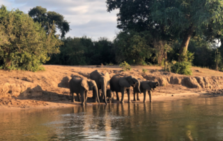 Mukalya - A Family Affair