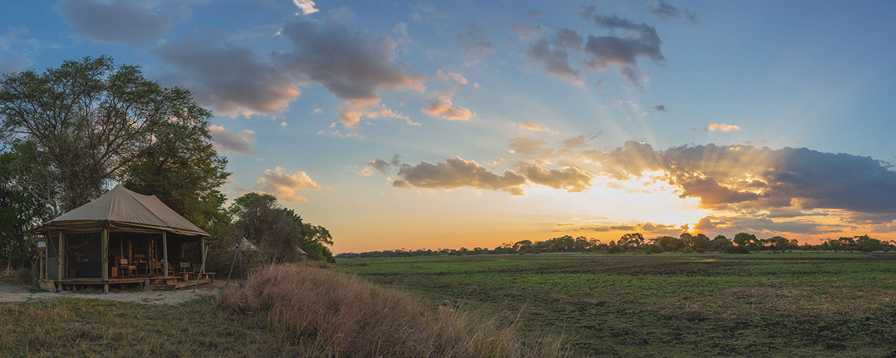 Musekese_HEADER