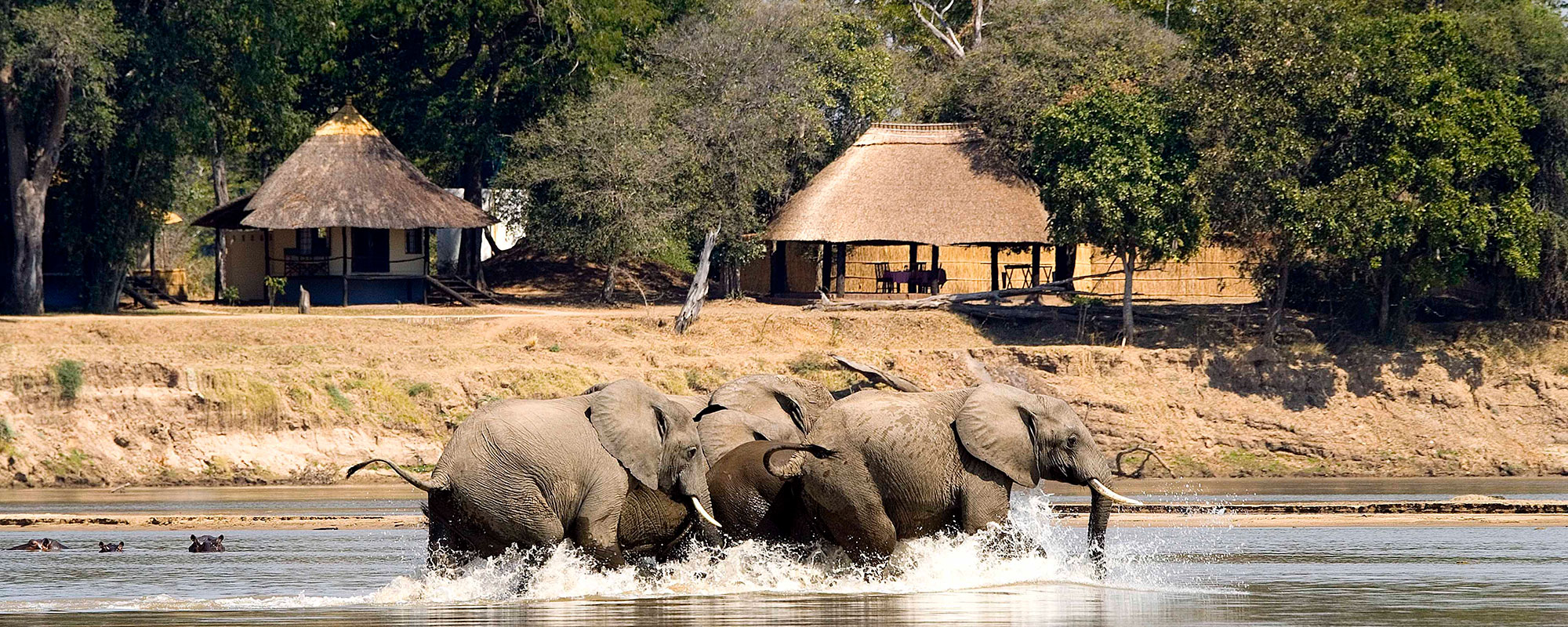 Nsefu-Header