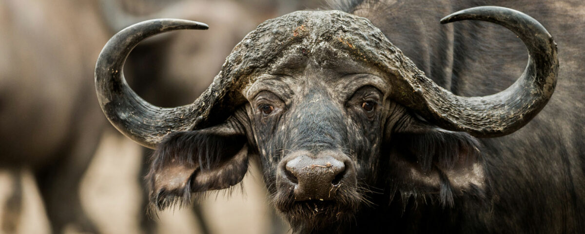 Nsumbu National Park