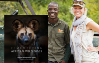 Remembering African Wild Dogs