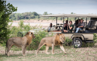 Sustainable South Luangwa