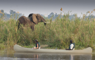 The Beauty of Lower Zambezi Exploration