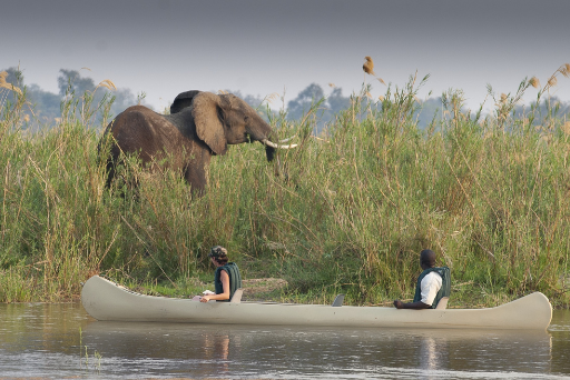 The Beauty of Lower Zambezi Exploration