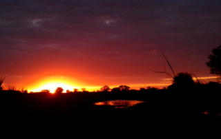 The Hidden Gems of Kafue