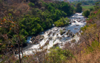 The Source of the Zambezi
