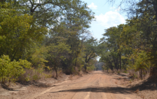 Kafue's Improved Spinal Road Ready For Self Driving Travellers!