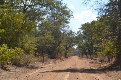Kafue's Improved Spinal Road Ready For Self Driving Travellers!