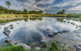 Update on Kafue National Park's Priority Support Plan - Zambia Tourism