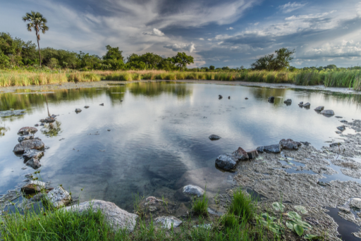 Update on Kafue National Park's Priority Support Plan - Zambia Tourism