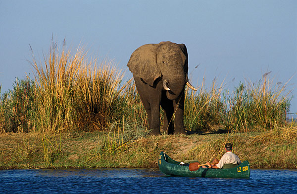 Zambia-Lower Zambezi National Park-AfricaImageLibrary