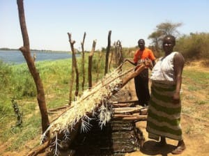 crop protecting chillies