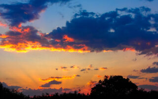 dreamstime_xl_135562186