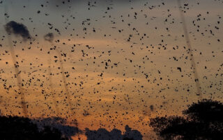 dreamstime_xl_135563162