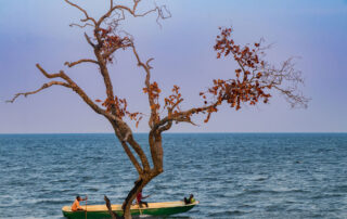 dreamstime_xl_263580706