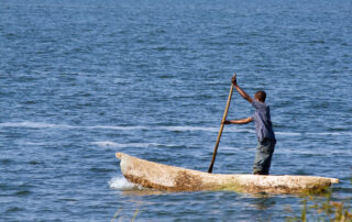 dreamstime_xl_42361053