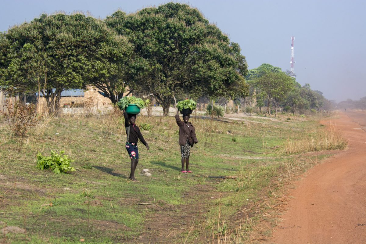 Die Quelle des Sambesi Sambia Tourismus Hispanic Net
