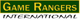 gamerangersinternational-logo