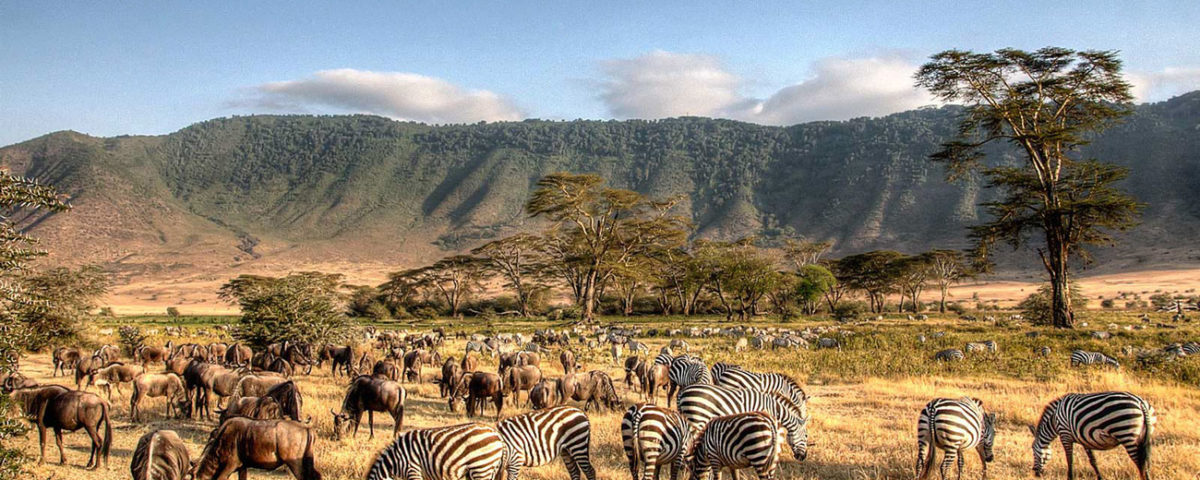 Imagine Zambia Tours Zambia Tourism