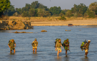17 Days and 365 kms: Walk Luangwa 2020