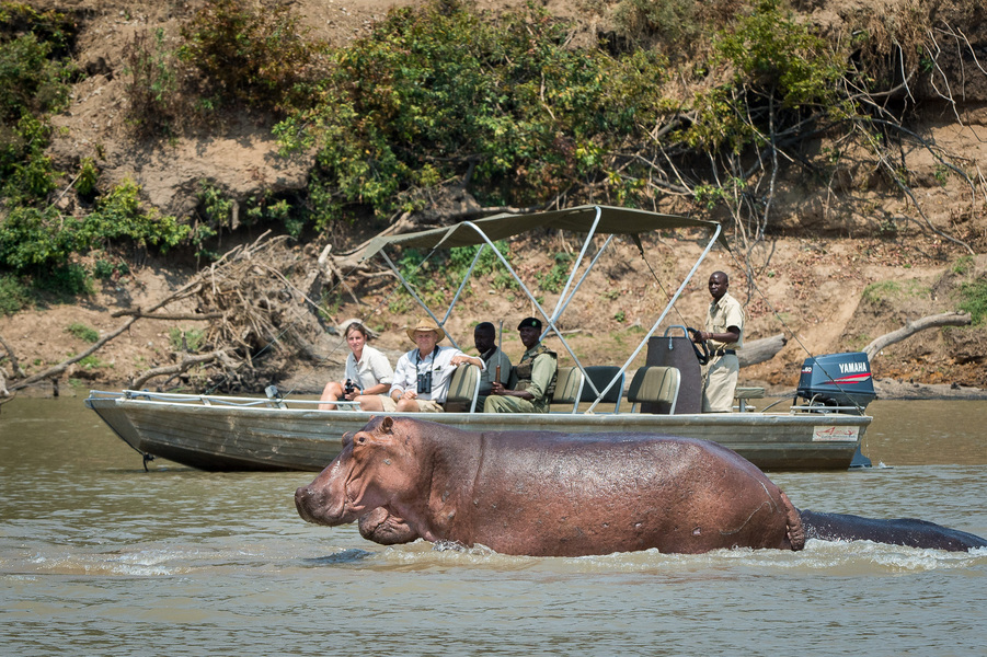 Luangwa River Safari