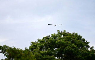 mwandwe-chileshe-KZlZSCZh6Ms-unsplash