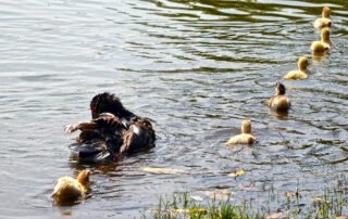 omoniyi-david-FQ16lKUjHBE-unsplash