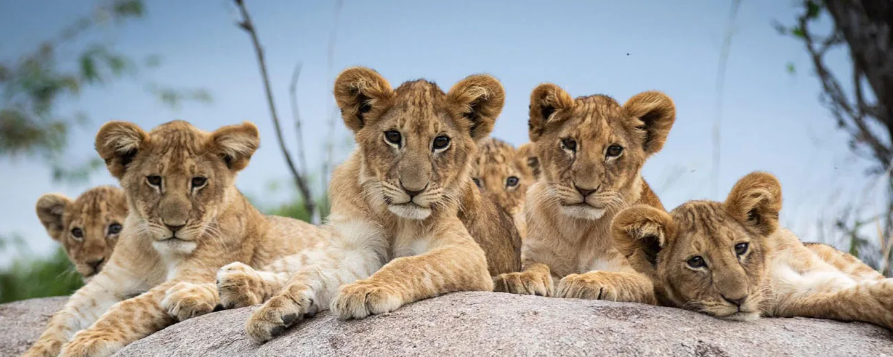 tanzania-family-safari-family-holidays-tanzania-odyssey=405286-300
